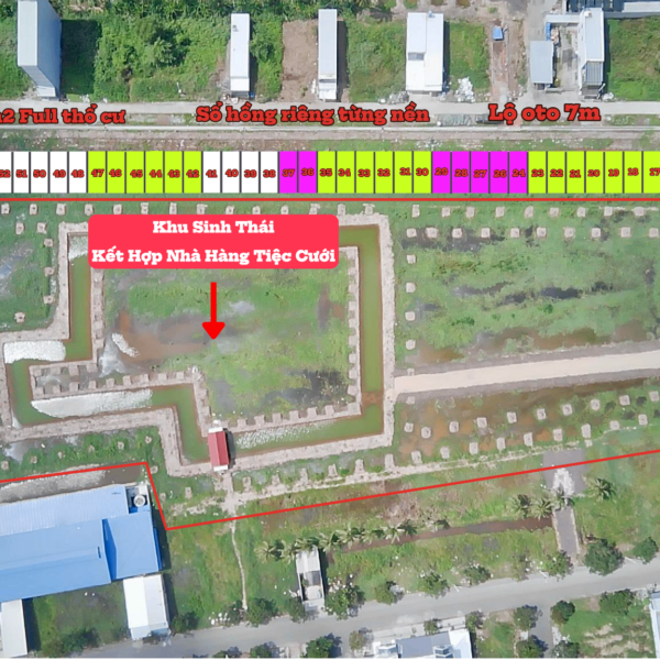 𝘾𝒂̂̀𝙣 𝙗𝒂́𝙣 𝙜𝒂̂́𝙥 𝙣𝒆̂̀𝙣 𝙘𝙝𝒐̛̣ 𝙏𝒂̆́𝙘 𝘾𝒂̣̂𝙪 – 𝘾𝙝𝐚̂𝙪 𝙏𝙝𝒂̀𝙣𝙝 – 𝙆𝙞𝒆̂𝙣 𝙂𝙞𝙖𝙣𝙜