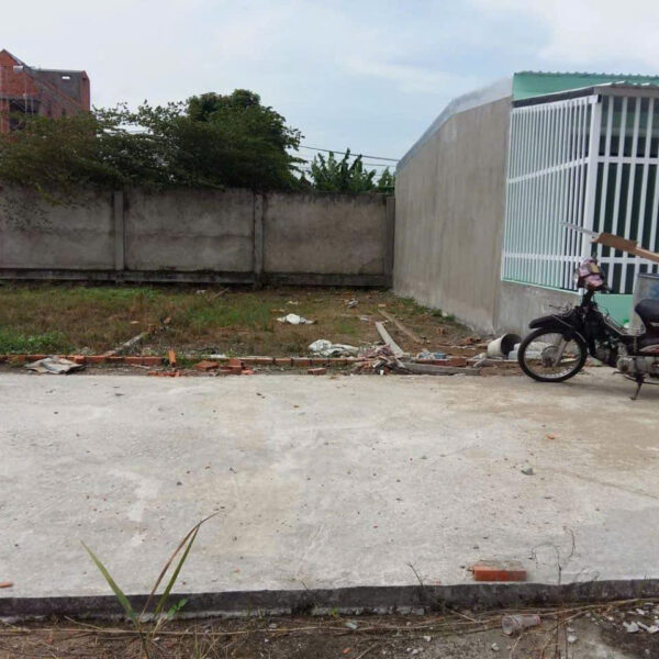 CẦN BÁN GẤP ĐẤT NHÁNH VƯƠN HỒNG SỂN